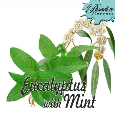 Eucalyptus Mint 10ml